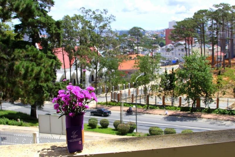 Thong Do Da Lat Hotel 大叻 客房 照片